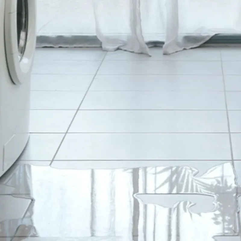 Appliance Leak Cleanup in Pollock Pines, CA